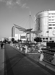 西丰公司注册